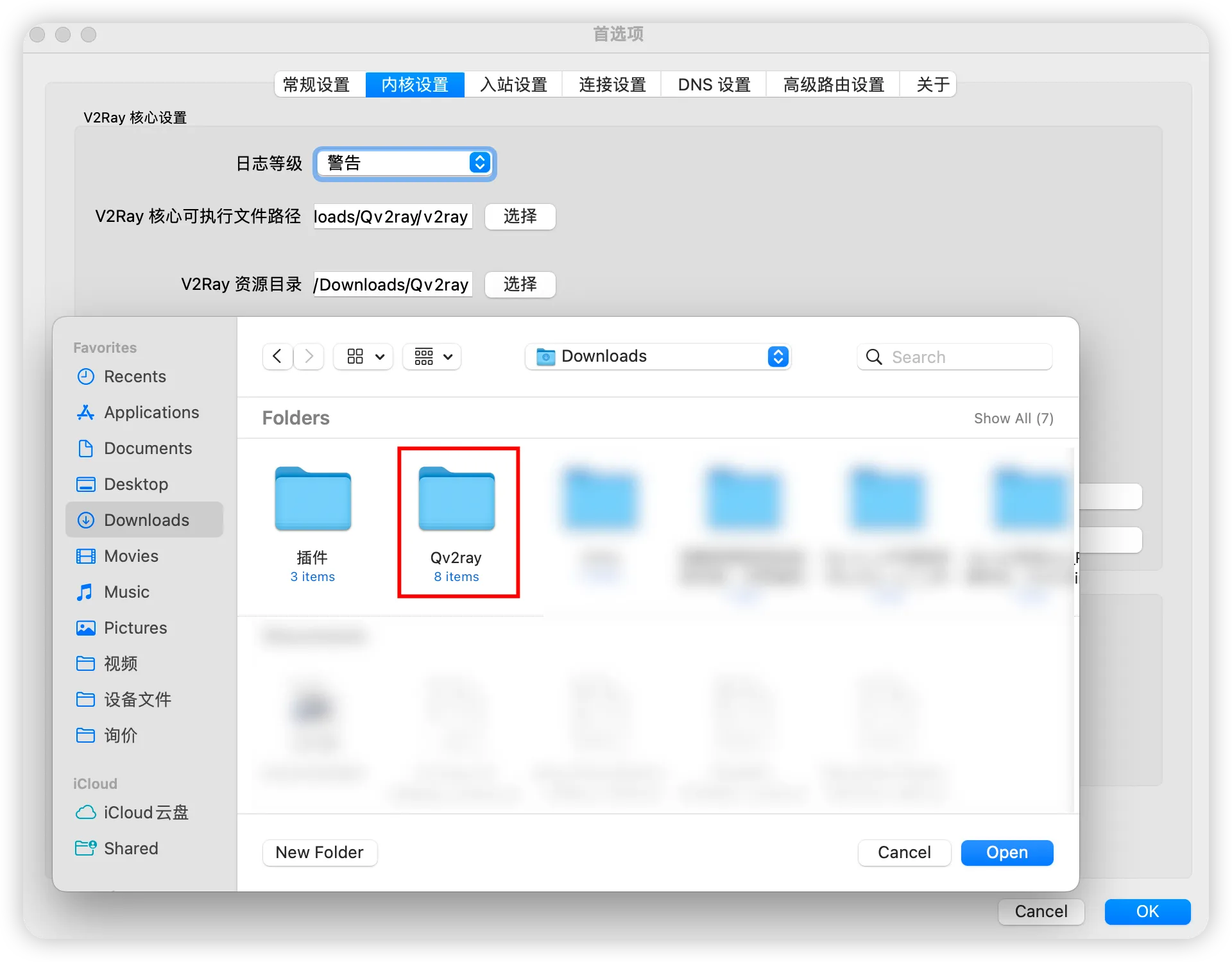 Qv2ray 内核资源目录配置